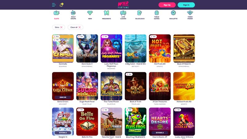 Thumbnail wild-fortune slots