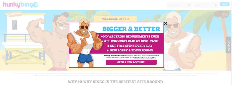 Hunky Bingo Casino review and lobby