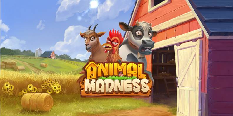 Animal Madness review