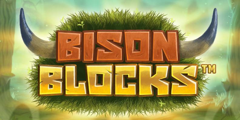 Bison Blocks review
