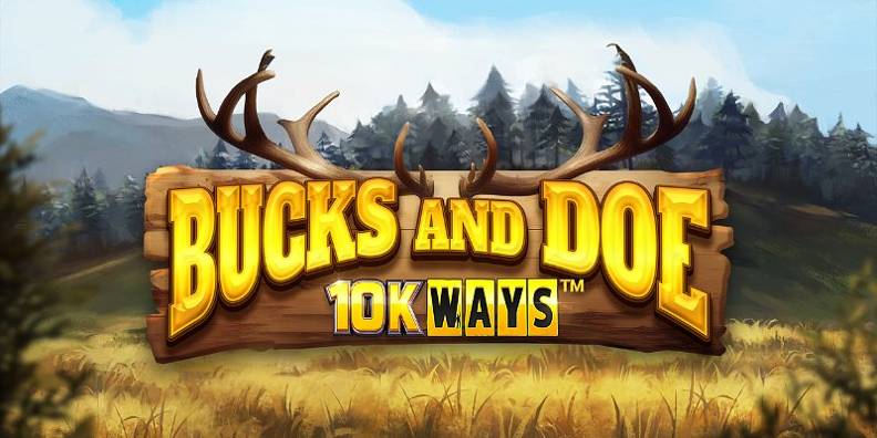 Bucks and Doe 10K Ways review