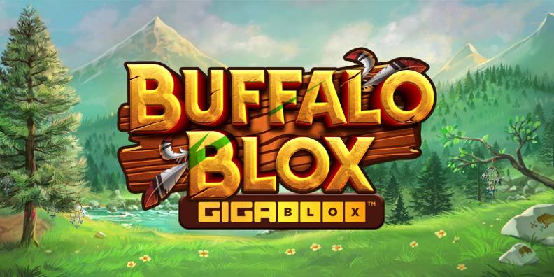 Buffalo Blox Gigablox review