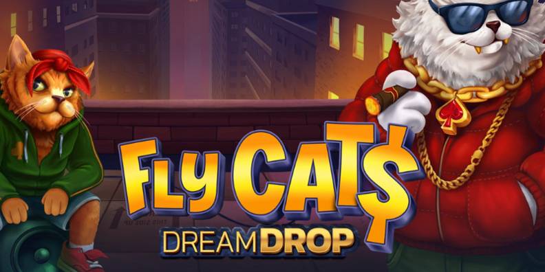 Fly Cat$ Dream Drop review
