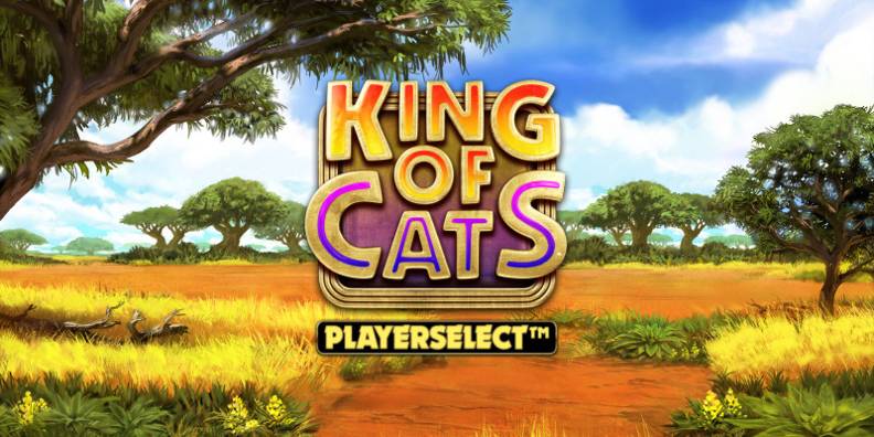 King of Cats Megaways review