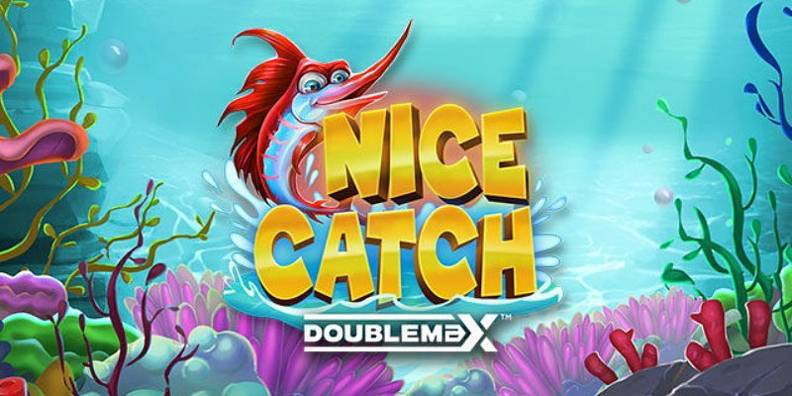 Nice Catch DoubleMax review
