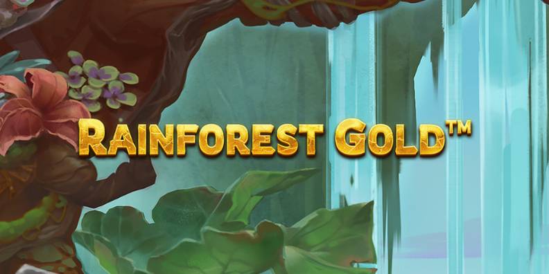Rainforest Gold review