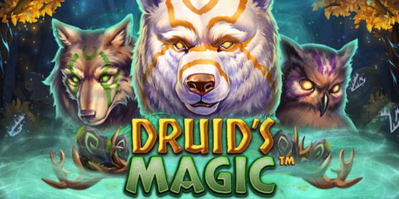 Druid’s Magic review