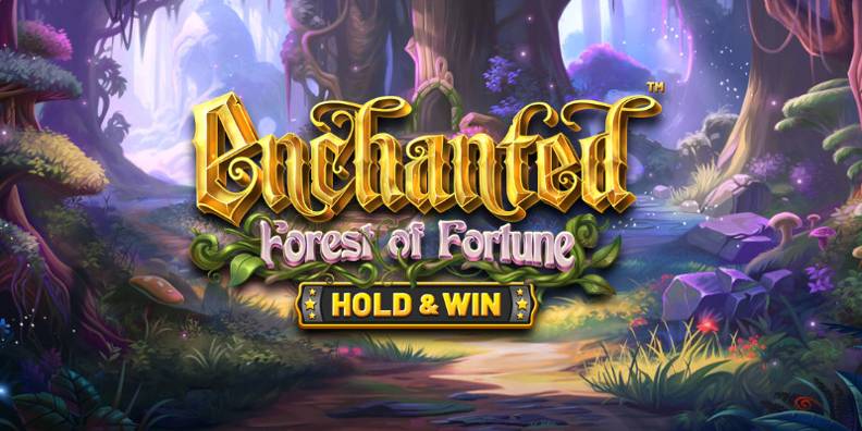 Enchanted: Forest of Fortune review