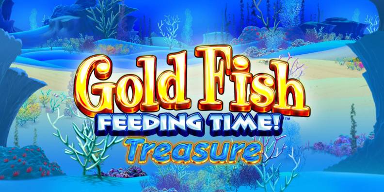 Gold Fish Feeding Time review