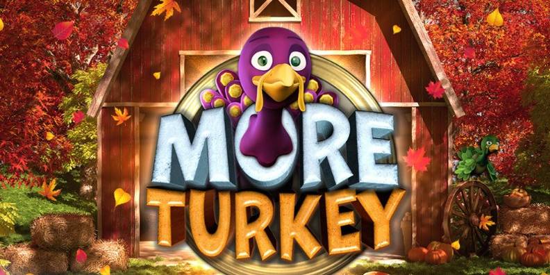 More Turkey review