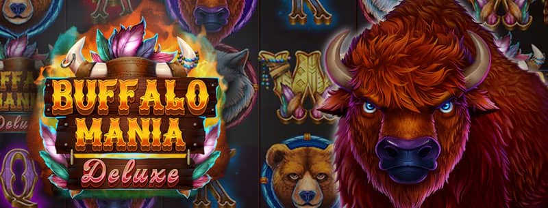 New Game: Buffalo Mania Deluxe and Bonuses