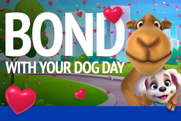 bond with your dog day