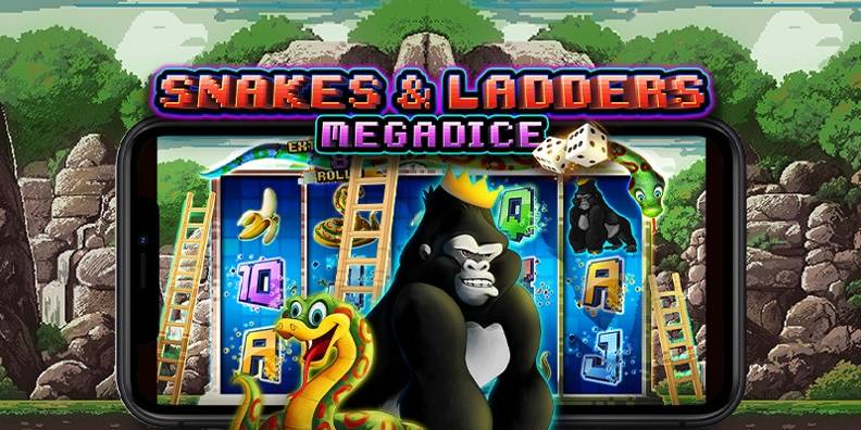 Snakes and Ladders Megadice review