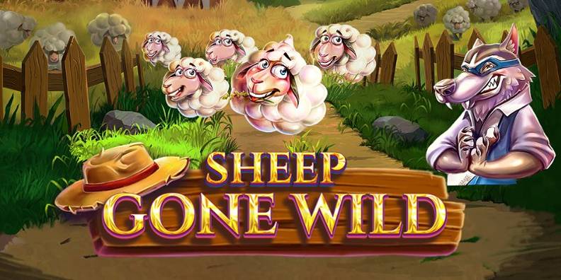 Sheep Gone Wild review