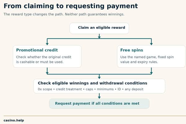 Steps to check before withdrawing a no wager no deposit bonus". Keep the diagram factual and avoid suggesting guaranteed winnings.