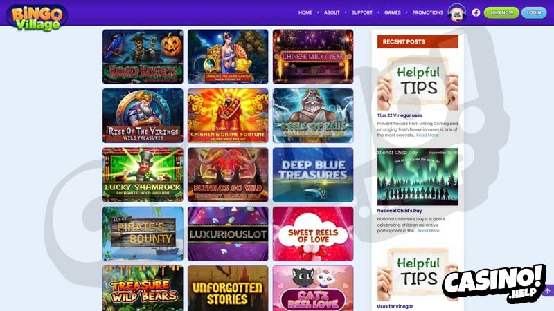 bingovillage slots screenshot